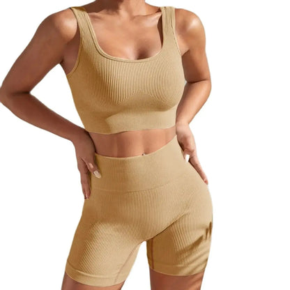 Seamless High Waist Yoga Fitness Set