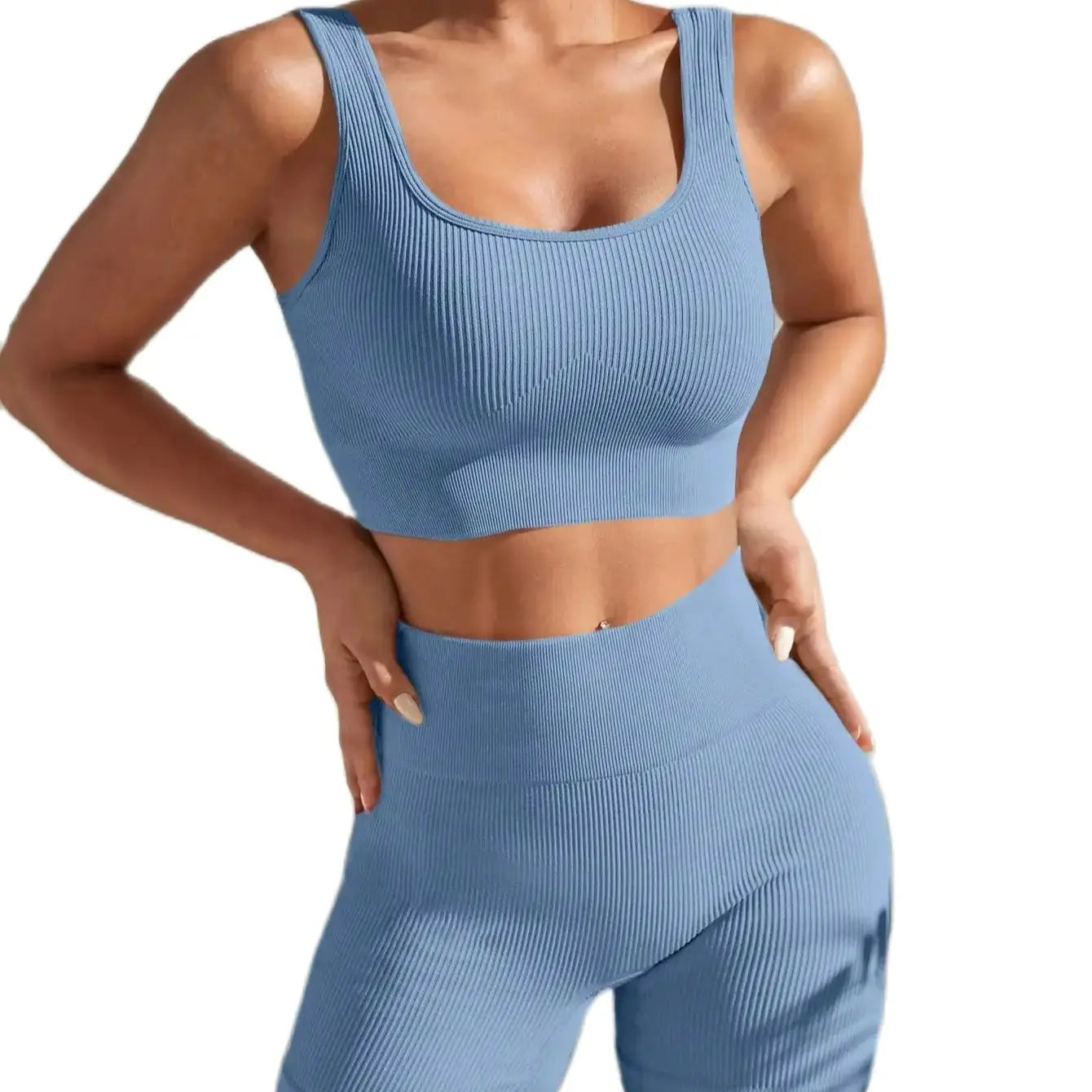 Seamless High Waist Yoga Fitness Set