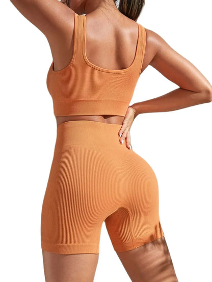 Seamless High Waist Yoga Fitness Set