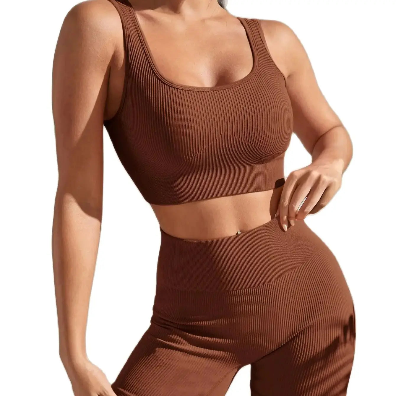 Seamless High Waist Yoga Fitness Set